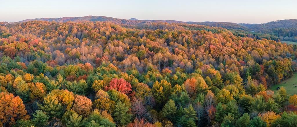 Photo of TBD Shady Grove Rd #89, Indian Valley, VA 24380 (MLS # 103645)