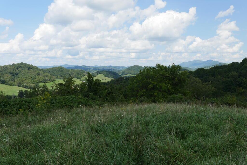 Photo of 4832 Witten Valley Road #16, Tazewell, VA 24651 (MLS # 111948)