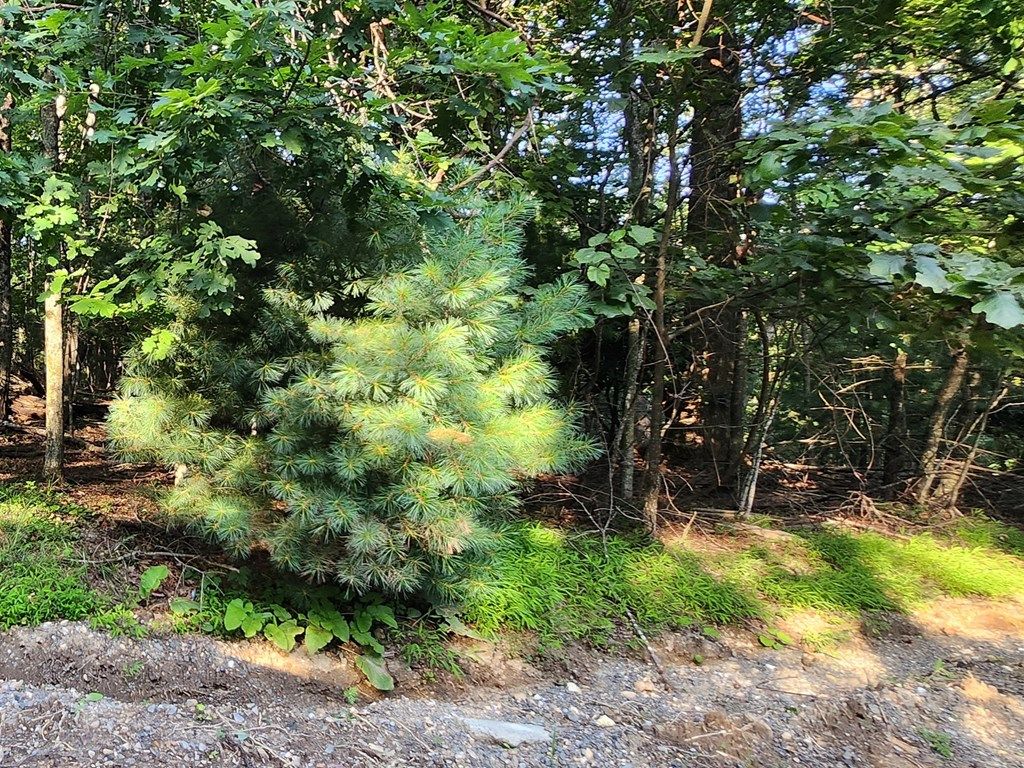 Photo of 8 Apache Trail #8, Fancy Gap, VA 24328 (MLS # 100764)