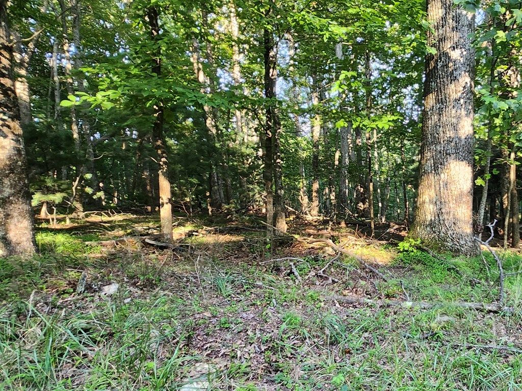 Photo of 8 Apache Trail #8, Fancy Gap, VA 24328 (MLS # 100764)