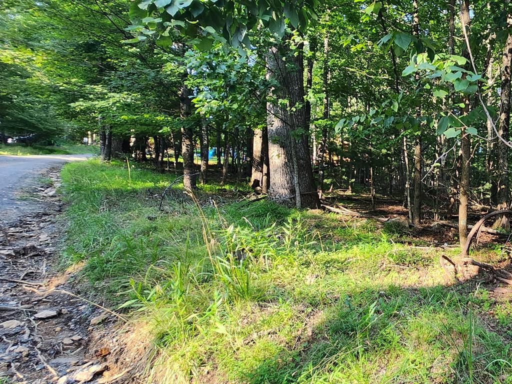 Photo of 8 Apache Trail #8, Fancy Gap, VA 24328 (MLS # 100764)