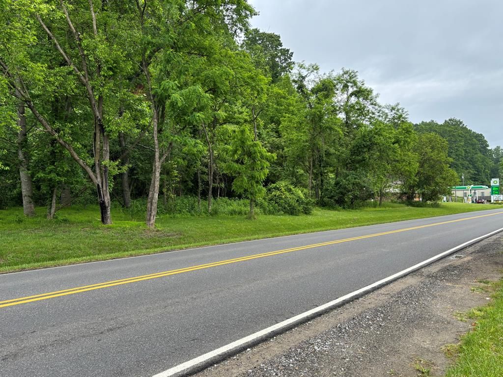 Photo of TBD South Main Street #n/a, Galax, VA 24333 (MLS # 98375)