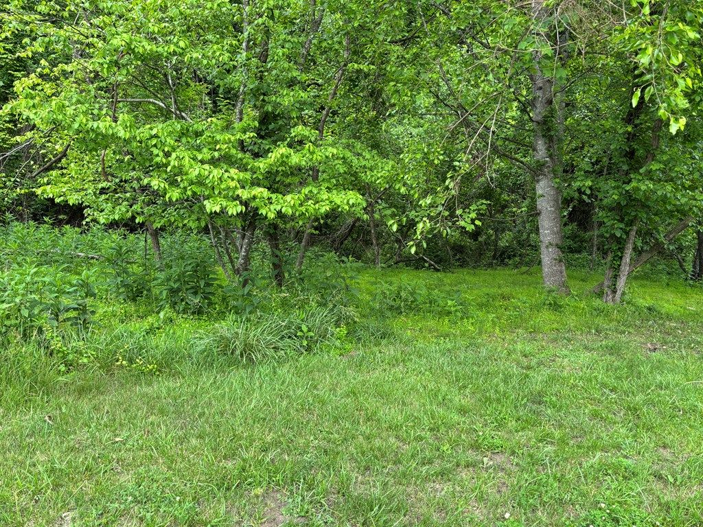 Photo of TBD South Main Street #n/a, Galax, VA 24333 (MLS # 98375)
