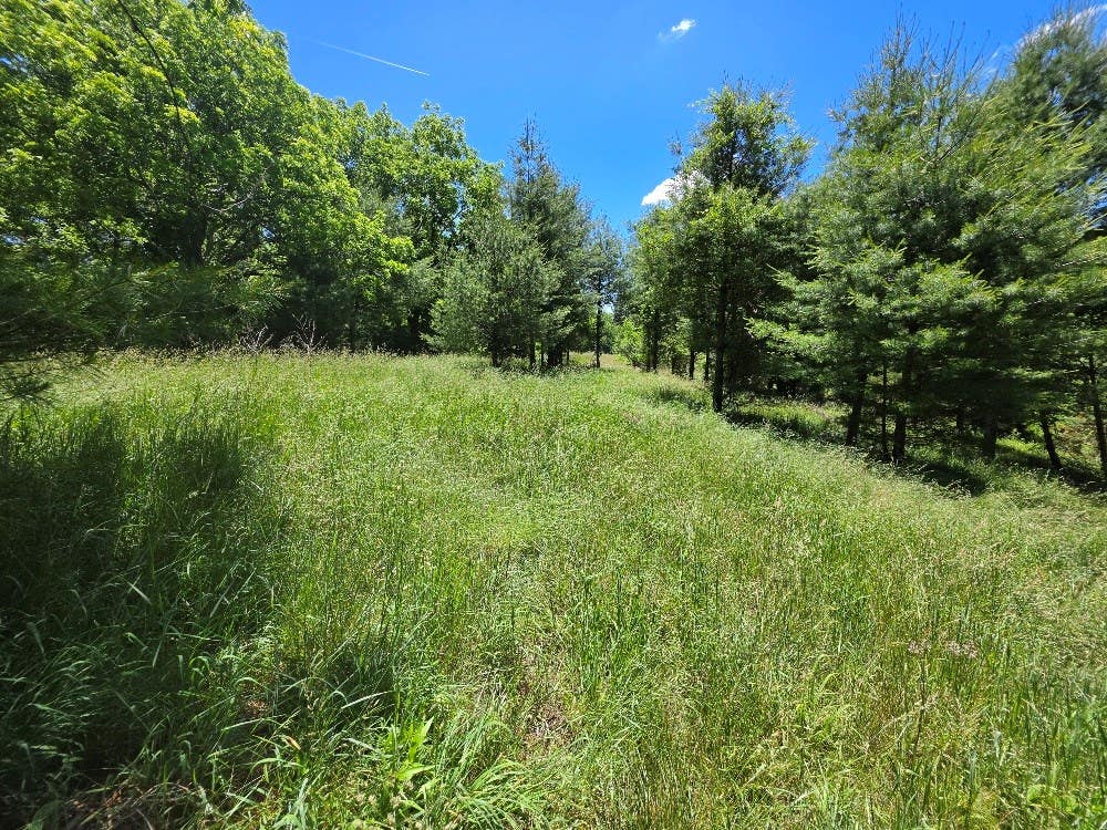 Photo of TBD Oak Grove Rd #0, Woodlawn, VA 24381 (MLS # 110417)