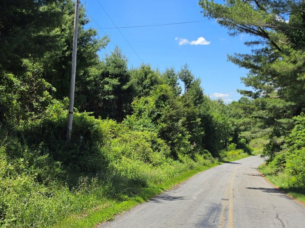 Photo of TBD Oak Grove Rd #0, Woodlawn, VA 24381 (MLS # 110417)
