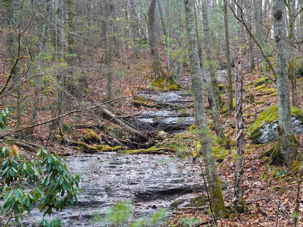 Photo of 00 N Burnt Hill Road #0, Laurel Springs, NC 28644 (MLS # 109152)