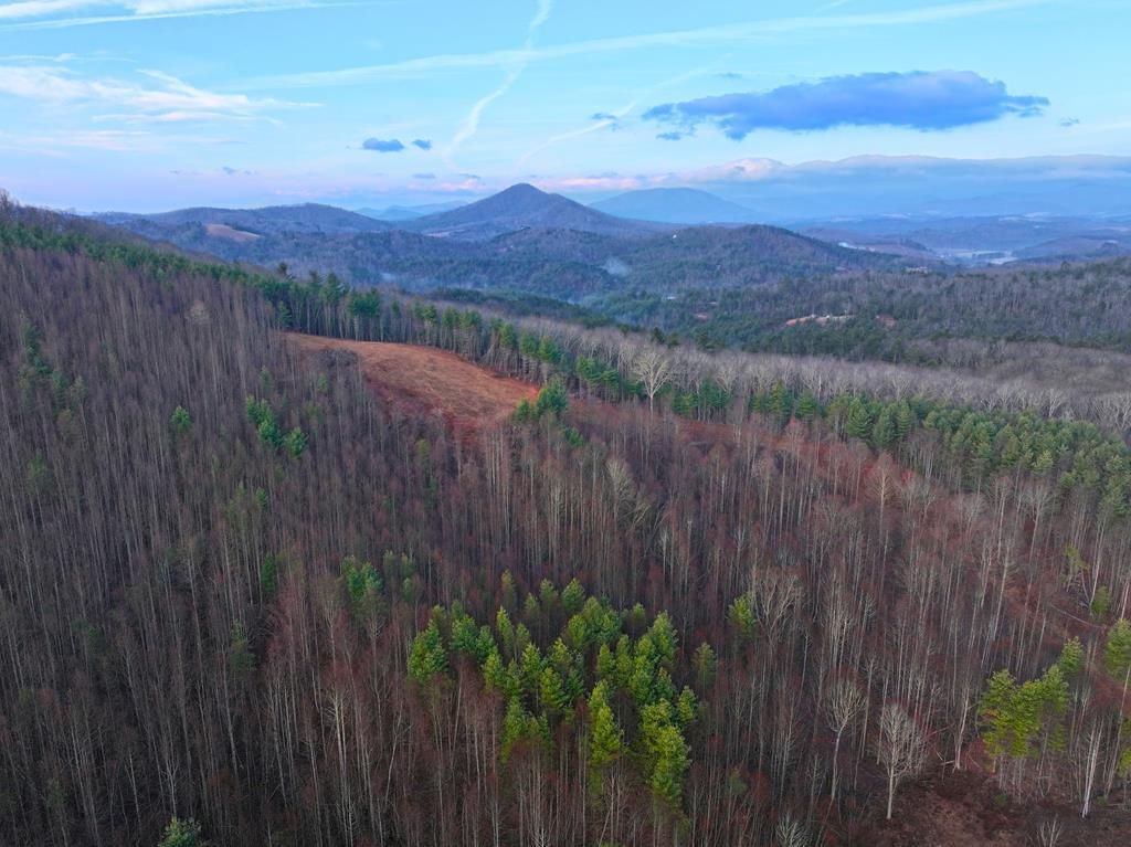 Photo of 00 N Burnt Hill Road #0, Laurel Springs, NC 28644 (MLS # 109152)