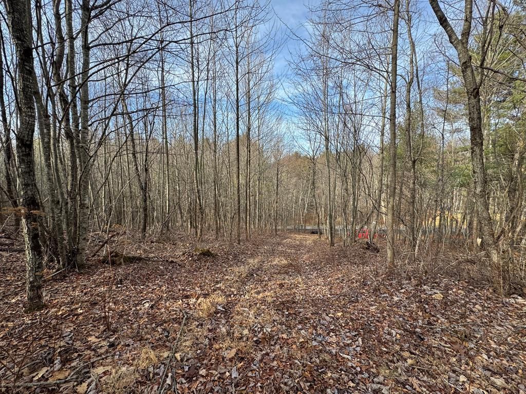 Photo of 0 Shelor #n/a, Meadows of Dan, VA 24120 (MLS # 104441)