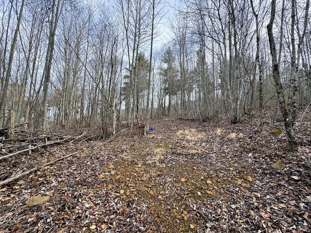 Photo of 0 Shelor #n/a, Meadows of Dan, VA 24120 (MLS # 104441)