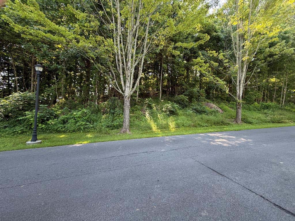 Photo of TBD Virginia Trail #3, Bristol, VA 24202 (MLS # 111335)