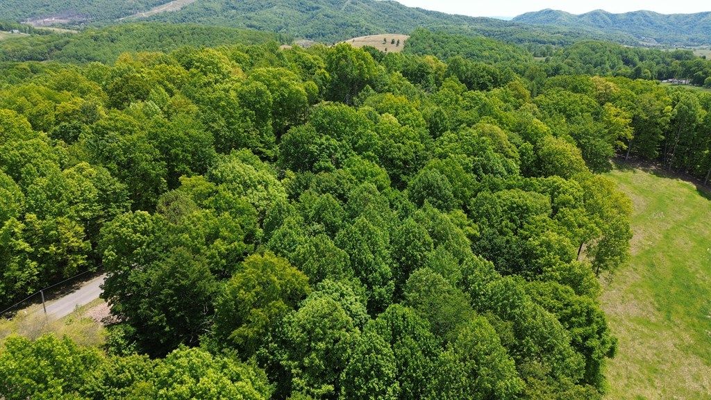 Photo of TBD Glenview Ln #13, Lebanon, VA 24266 (MLS # 110130)