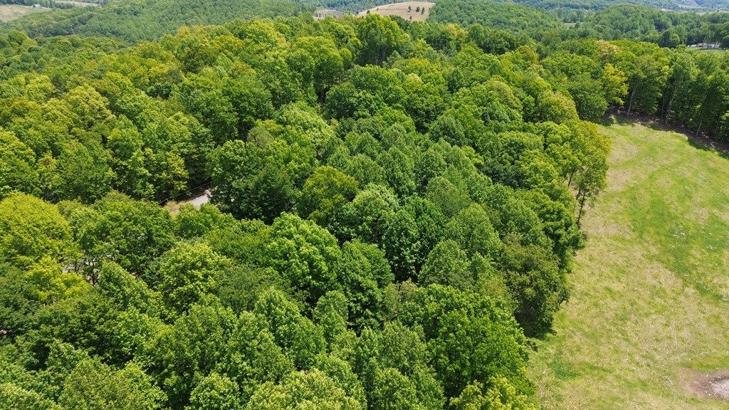 Photo of TBD Glenview Ln #13, Lebanon, VA 24266 (MLS # 110130)