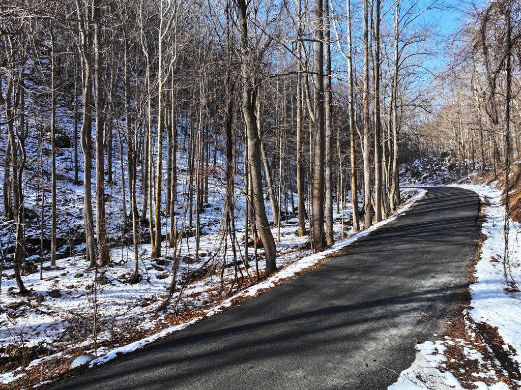 Photo of 00 Shooting Creek Rd #0, Floyd, VA 24091 (MLS # 104399)