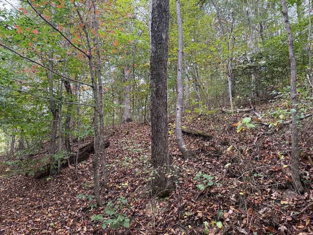 Photo of TBD Highland Ave #8-12, Richlands, VA 24641 (MLS # 103677)