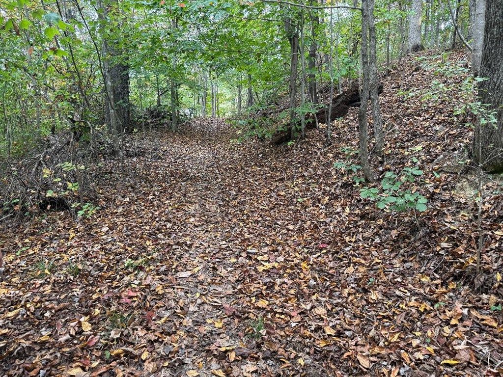 Photo of TBD Highland Ave #8-12, Richlands, VA 24641 (MLS # 103677)