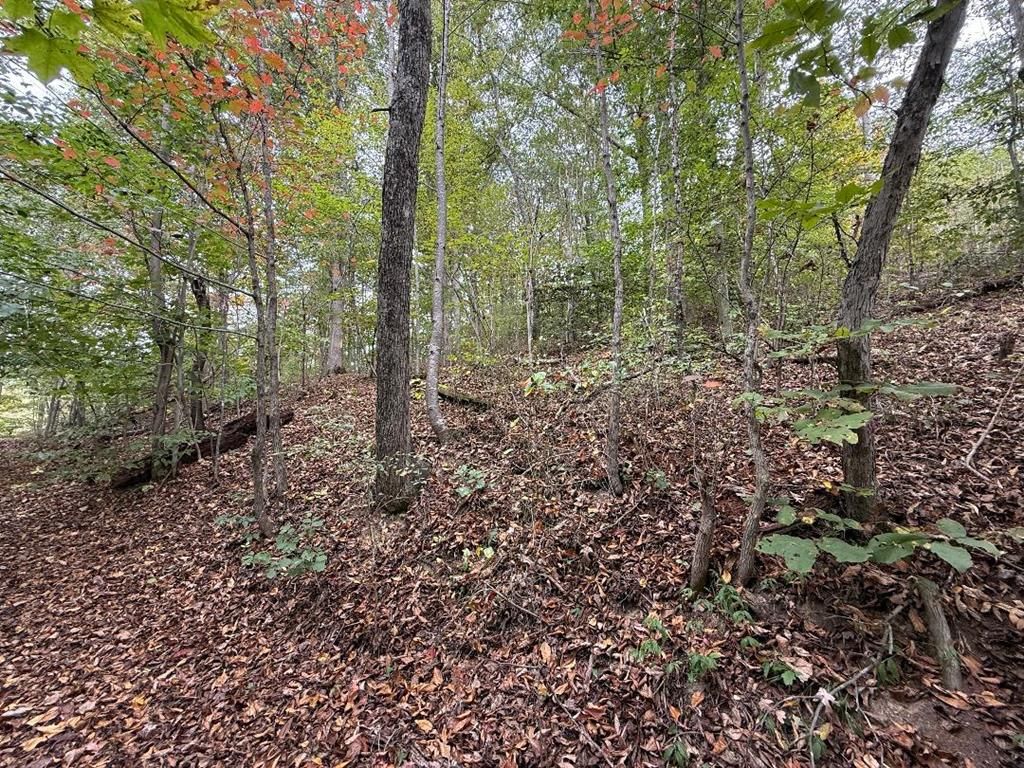 Photo of TBD Highland Ave #8-12, Richlands, VA 24641 (MLS # 103677)