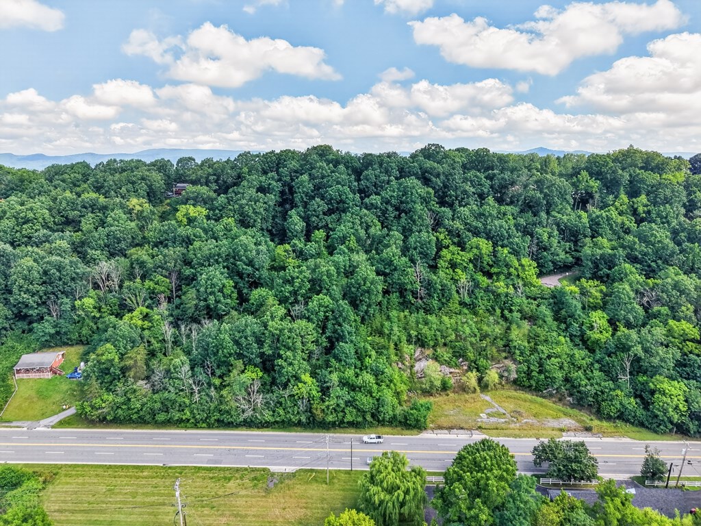Lot 42 W Lee Highway
