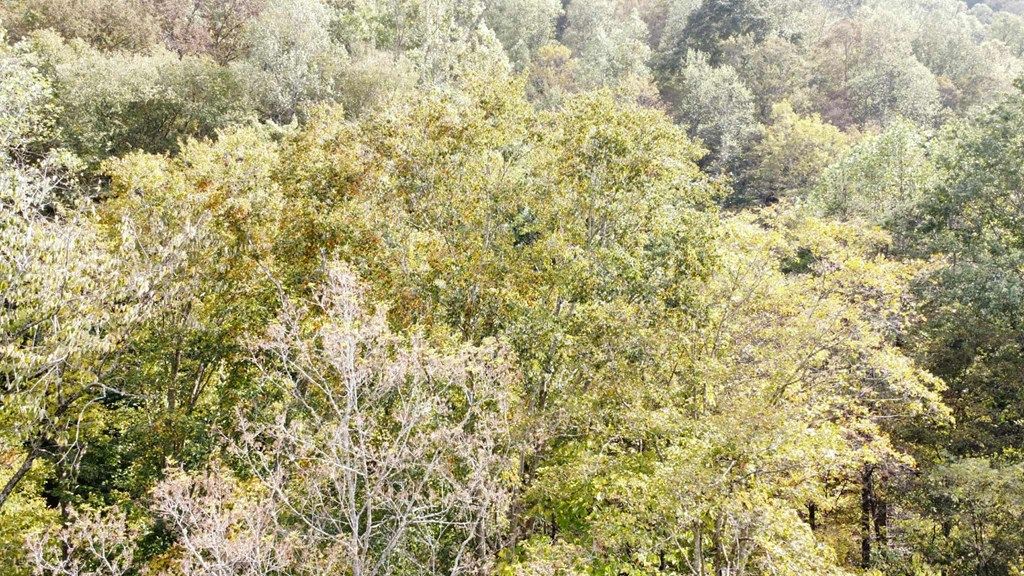 Photo of TBD Homecreek Rd #N/A, Grundy, VA 24614 (MLS # 103656)