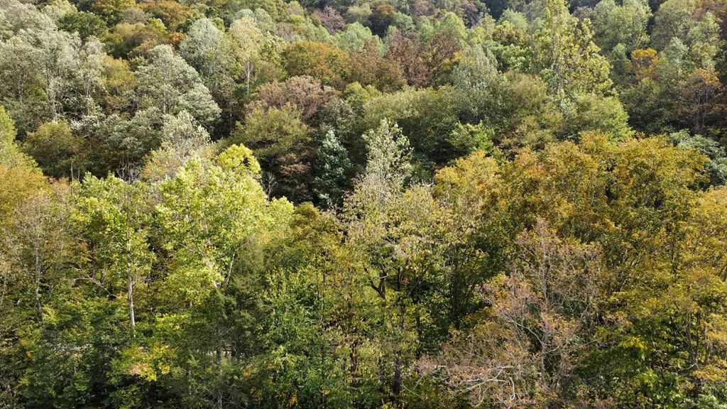 Photo of TBD Homecreek Rd #N/A, Grundy, VA 24614 (MLS # 103656)