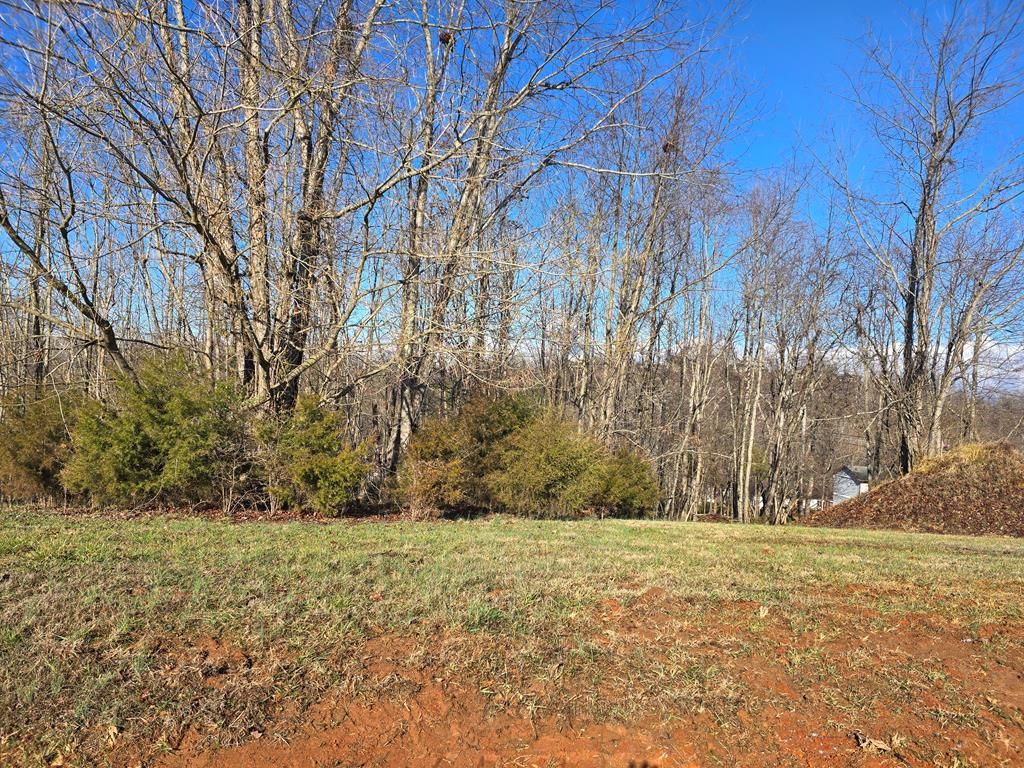 Photo of 1124 Biltmore Place #14, Piney Flats, TN 37686 (MLS # 104546)