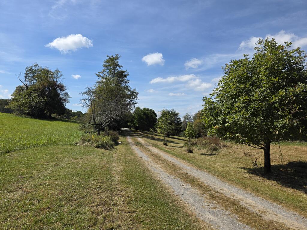 Photo of 218 Ridge Rd, Check, VA 24072 (MLS # 112223)
