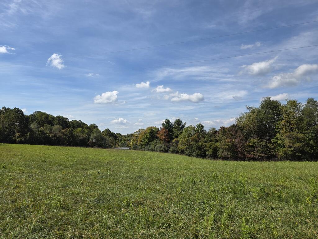 Photo of 218 Ridge Rd, Check, VA 24072 (MLS # 112223)