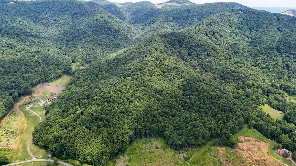 Photo of 0 Trot Valley Farm #n/a, Stuart, VA 24171 (MLS # 94196)