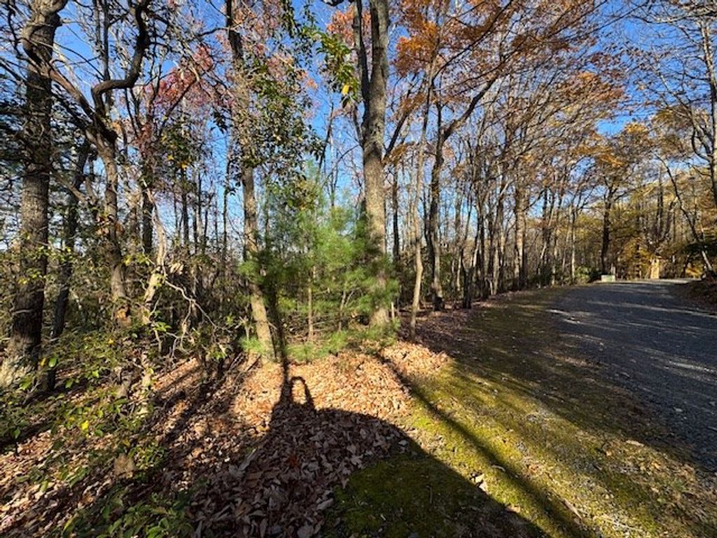 Photo of TBD Crooked White Oak Tr #55,26,27,28, Hillsville, VA 24343 (MLS # 104129)
