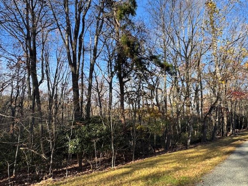 Photo of TBD Crooked White Oak Tr #55,26,27,28, Hillsville, VA 24343 (MLS # 104129)