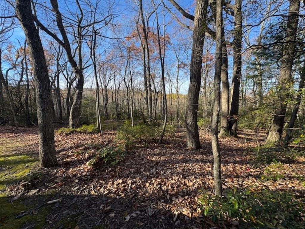 Photo of TBD Crooked White Oak Tr #55,26,27,28, Hillsville, VA 24343 (MLS # 104129)