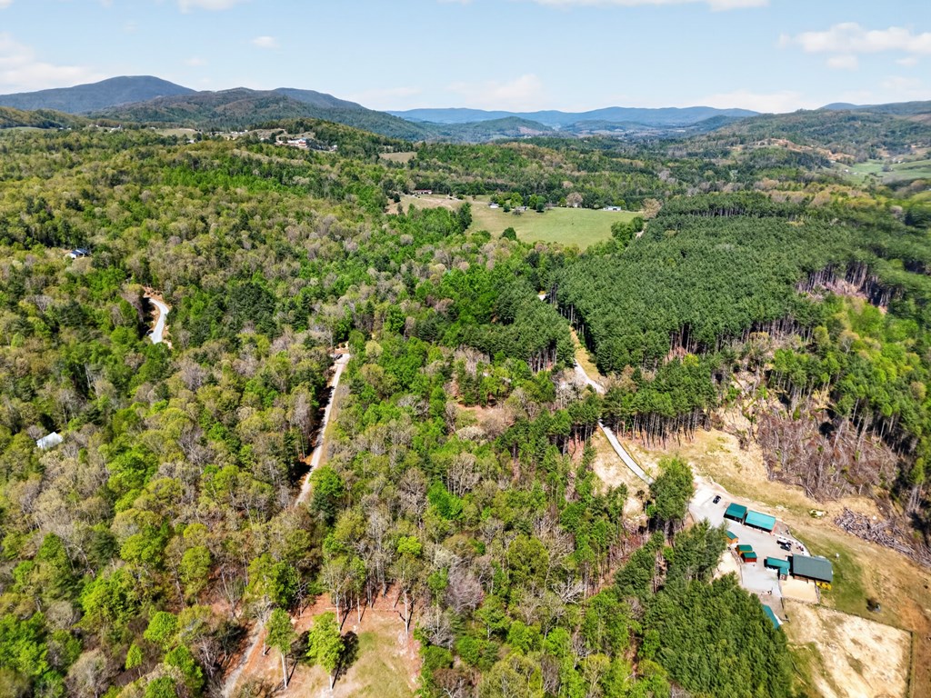 Lot 11 Ridge Line Trail