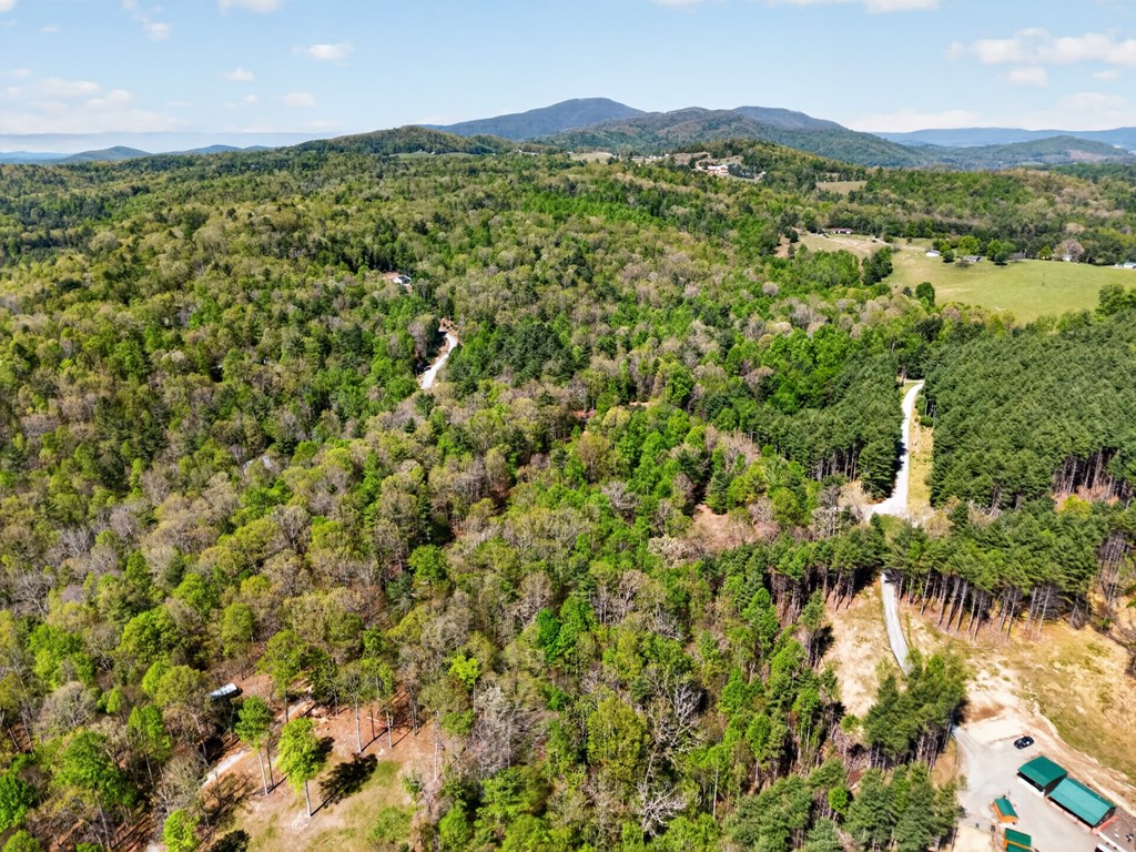 Lot 11 Ridge Line Trail