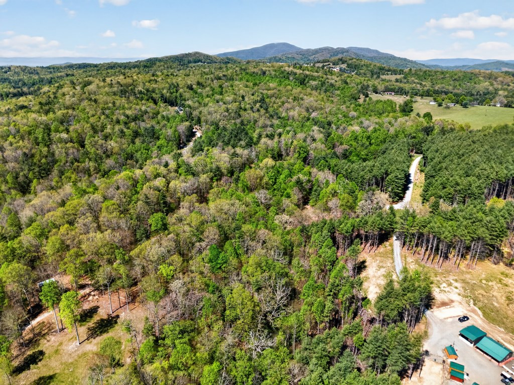 Lot 11 Ridge Line Trail