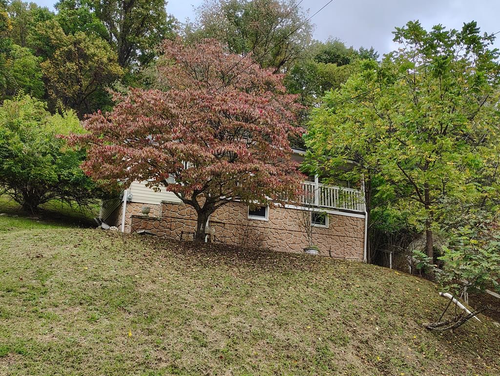 Photo of 328 Thompson St, Tazewell, VA 24651 (MLS # 103630)