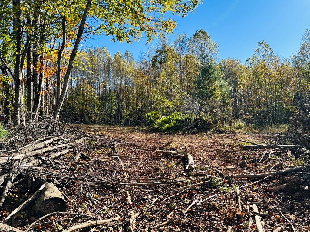 Photo of TBD Red Roof Lane #7, Laurel Fork, VA 24352 (MLS # 103898)