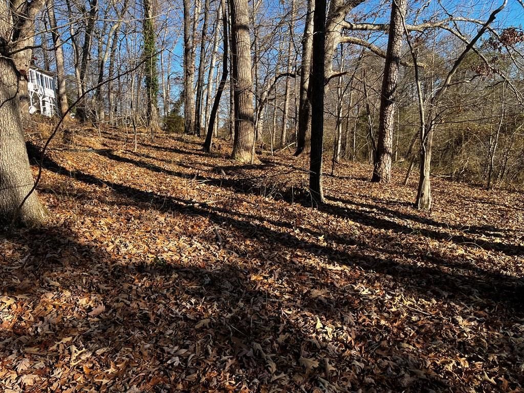 Photo of 000 Virgilina Circle #32 and 32A, Cana, VA 24317 (MLS # 100428)