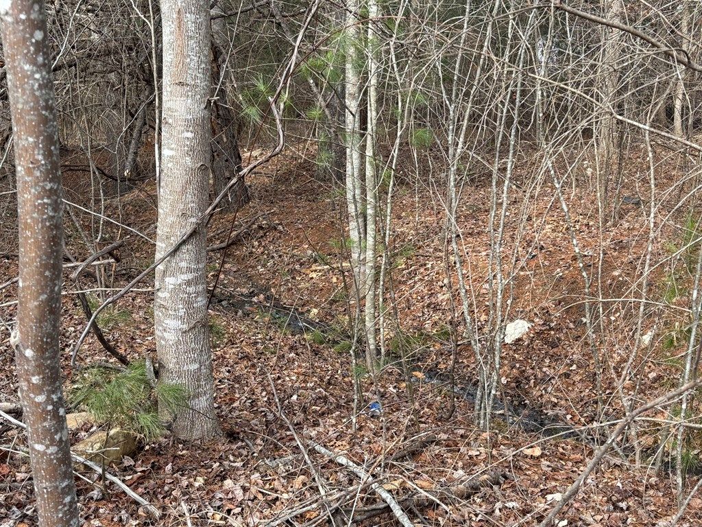 Photo of 1873 Howlett Street #none, Hillsville, VA 24343 (MLS # 105975)