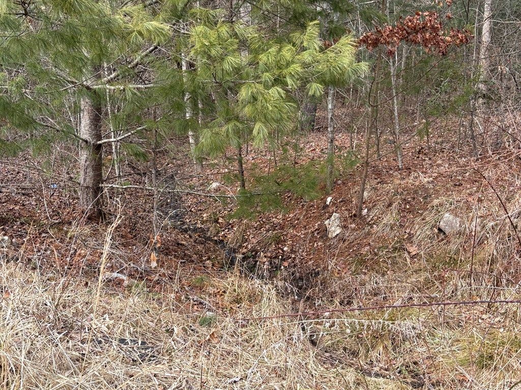 Photo of 1873 Howlett Street #none, Hillsville, VA 24343 (MLS # 105975)