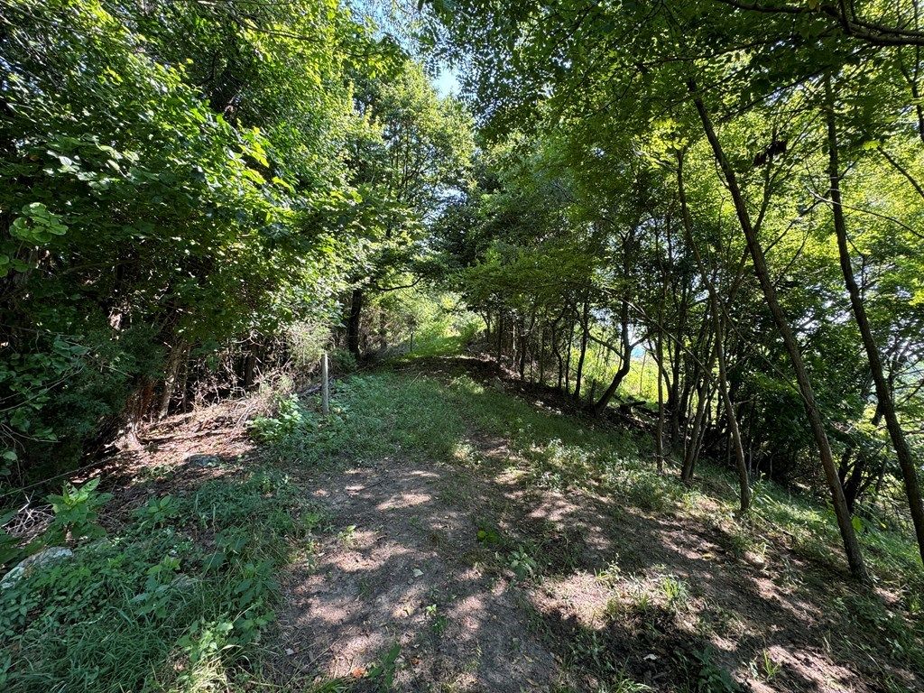 Photo of 0 Comers Rock Road #none, Elk Creek, VA 24326 (MLS # 103583)