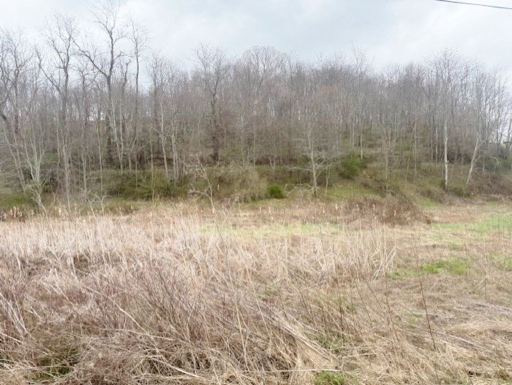 Photo of TBD Rural Retreat Lake Rd #11,13, Rural Retreat, VA 24368 (MLS # 109228)