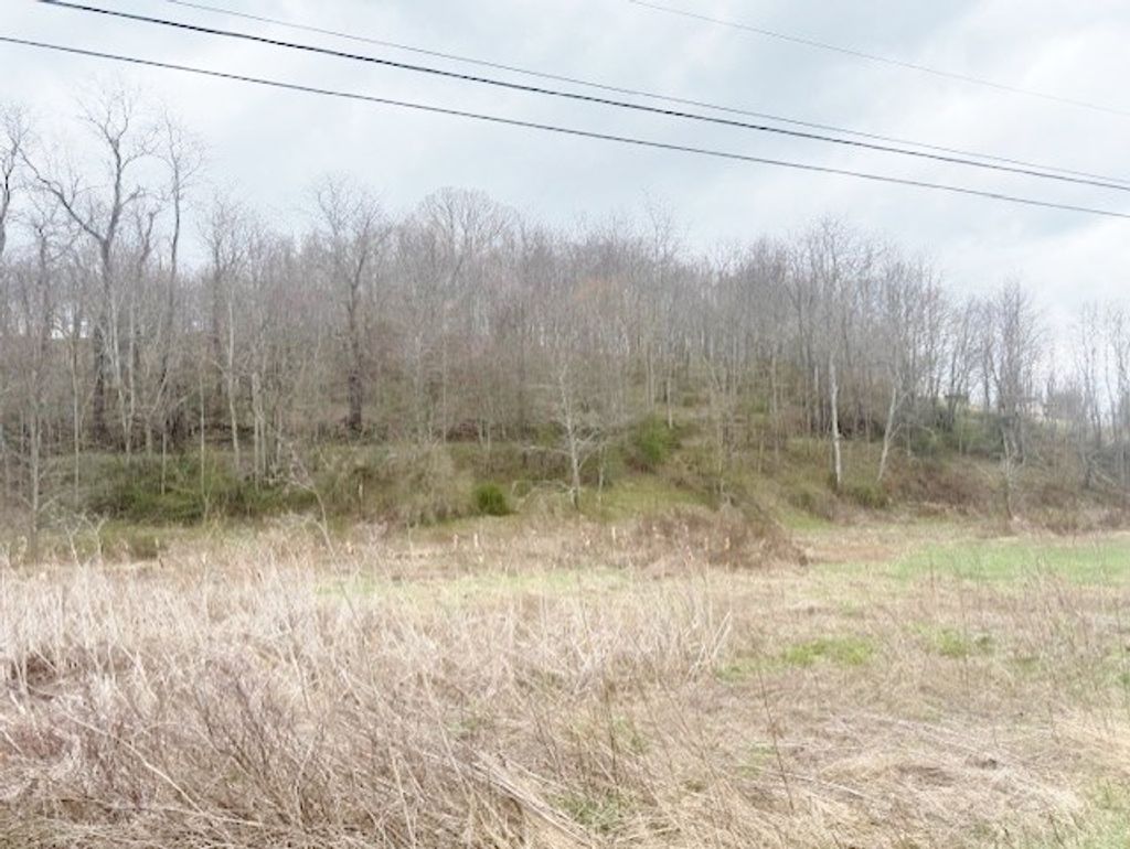 Photo of TBD Rural Retreat Lake Rd #11,13, Rural Retreat, VA 24368 (MLS # 109228)