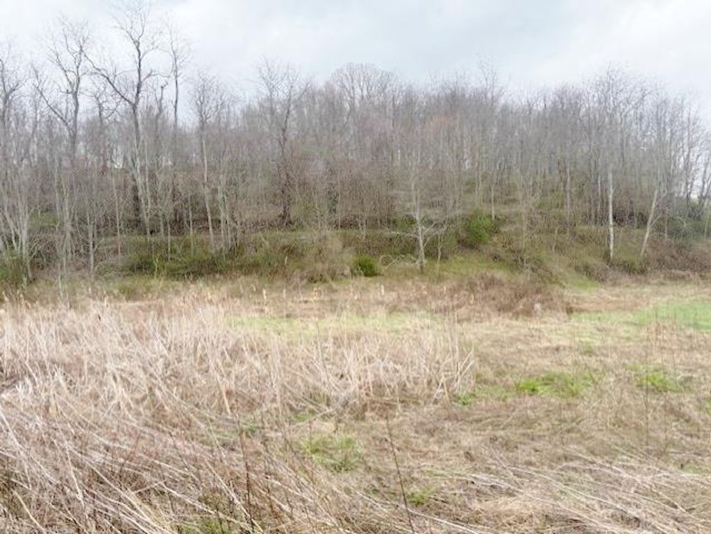 Photo of TBD Rural Retreat Lake Rd #11,13, Rural Retreat, VA 24368 (MLS # 109228)
