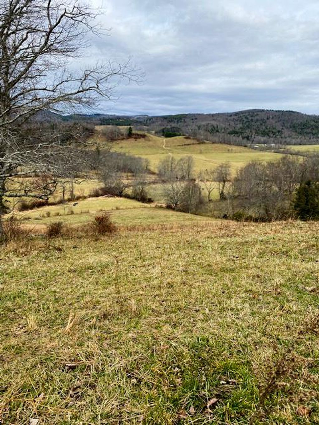 Photo of 7874 Flatridge Road, Troutdale, VA 24378 (MLS # 104171)