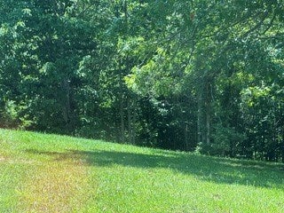 Photo of TBD Tbd Live Oak Lane #1-T2, Galax, VA 24333 (MLS # 111049)