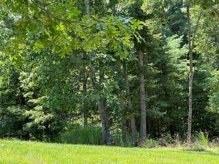Photo of TBD Tbd Live Oak Lane #1-T2, Galax, VA 24333 (MLS # 111049)