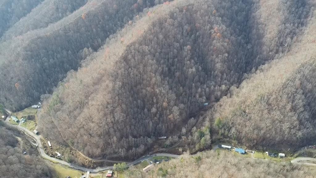 Photo of 1067 Red Dog Road #NA, Grundy, VA 24614 (MLS # 104213)