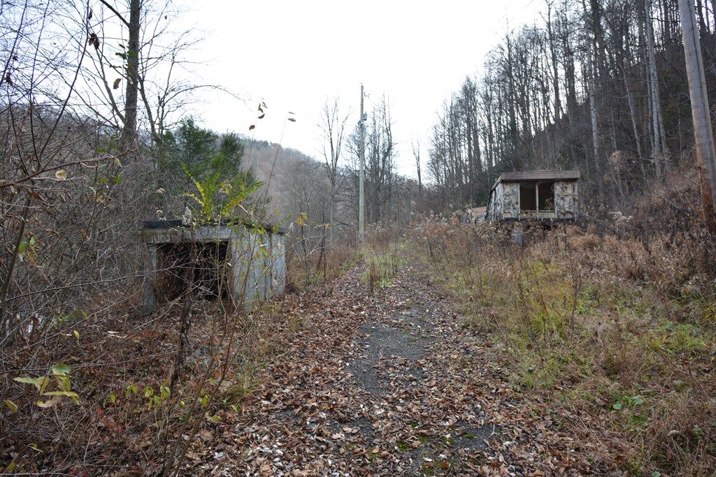 Photo of 1067 Red Dog Road #NA, Grundy, VA 24614 (MLS # 104213)