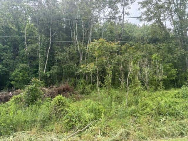 Photo of TBD Whispering Pines Rd #25,26,27,28, Max Meadows, VA 24360 (MLS # 110484)