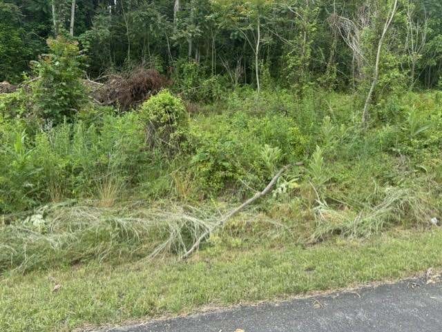 Photo of TBD Whispering Pines Rd #25,26,27,28, Max Meadows, VA 24360 (MLS # 110484)