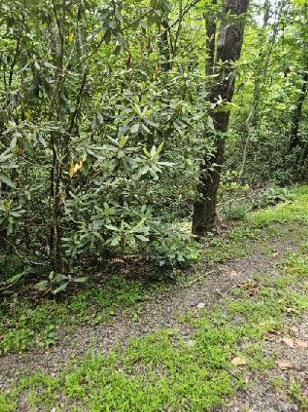 Photo of 24 Otter Creek Trail #E24, Fancy Gap, VA 24328 (MLS # 100566)